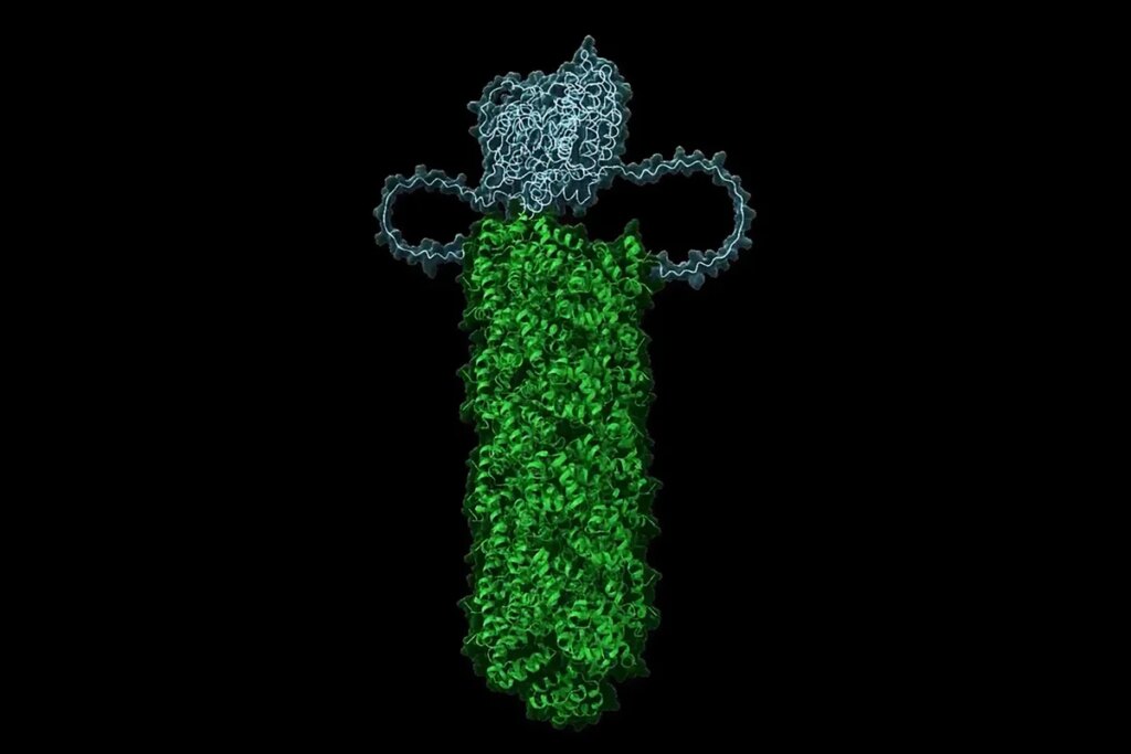 Cells Have a Crystal Trigger That Makes Them Self-Destruct When Viruses Invade Cells Have a Crystal Trigger That Makes Them Self-Destruct When Viruses Invade