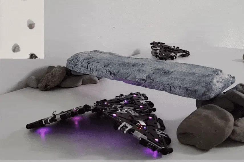 Robot Collective, Atlas Acrobatics, and More Videos Robot Collective, Atlas Acrobatics, and More Videos