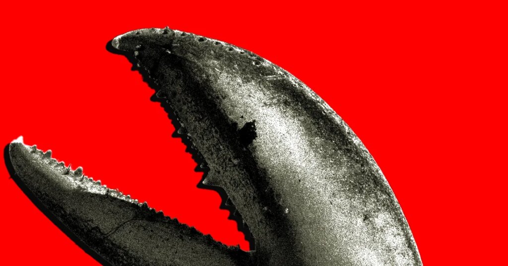 China’s OpenClaw Boom Is a Gold Rush for AI Companies China’s OpenClaw Boom Is a Gold Rush for AI Companies