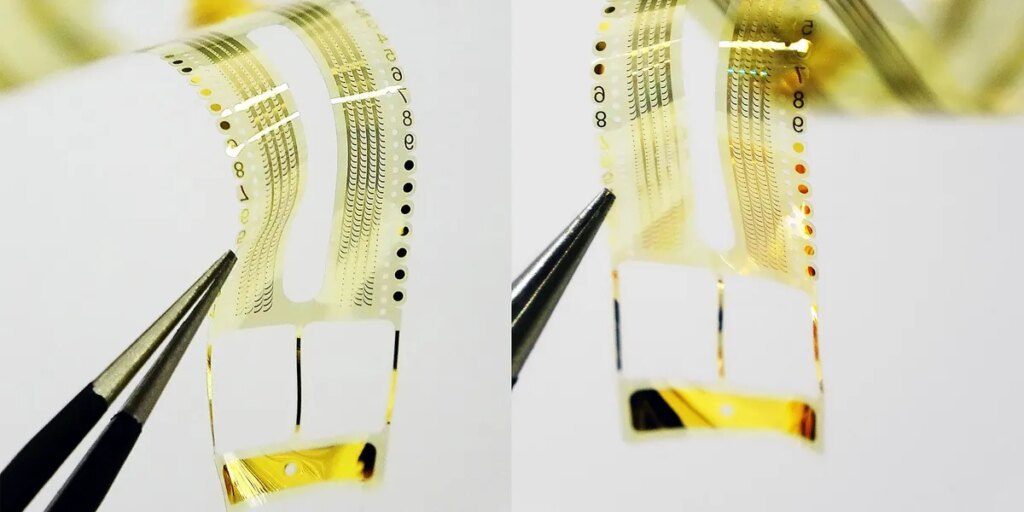 Could Electrical Stimulation Repair Optic Nerve Damage? Could Electrical Stimulation Repair Optic Nerve Damage?
