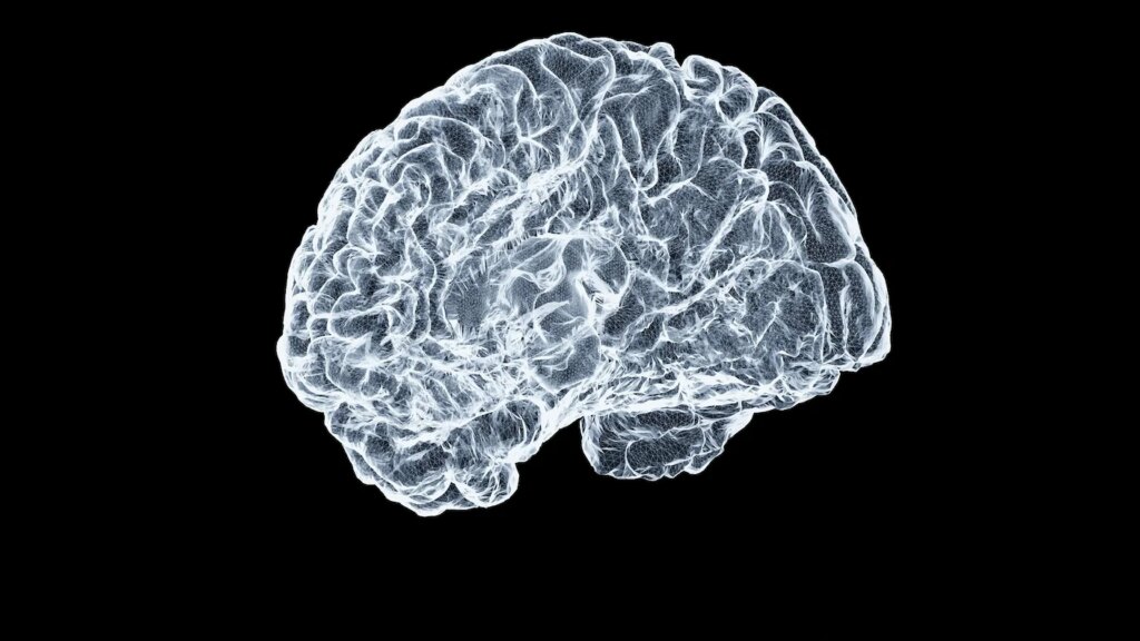 Reviving Brain Activity After ‘Cryosleep’ Inches Closer in Pioneering Study Reviving Brain Activity After ‘Cryosleep’ Inches Closer in Pioneering Study