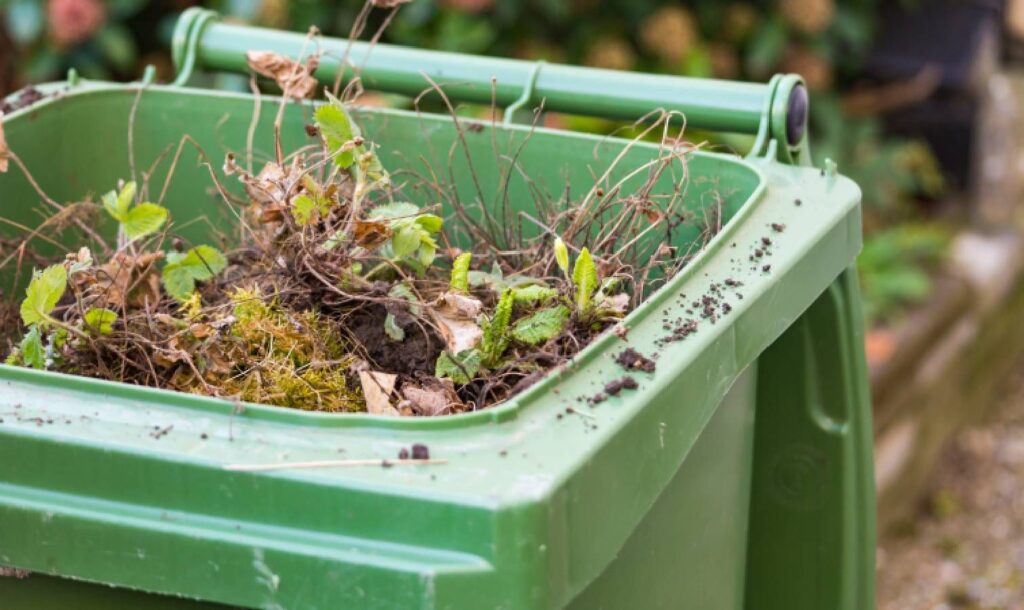 5 clever alternatives for disposing of yard waste at home Green bin filled with yard waste
