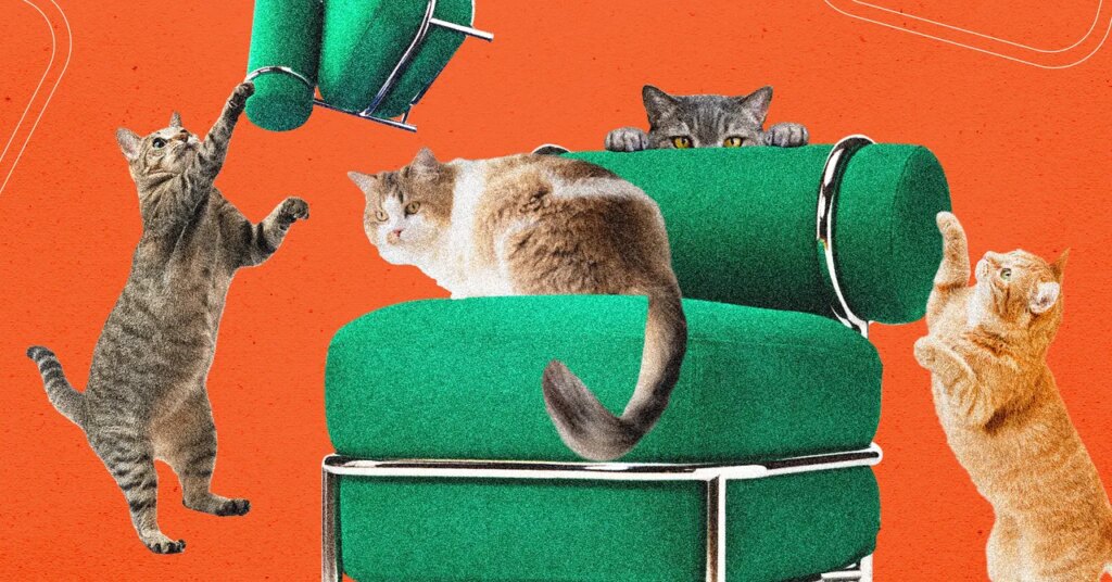 Ikea’s New Blow-Up Chair Was Tested by Cats Ikea's New Blow-Up Chair Was Tested by Cats