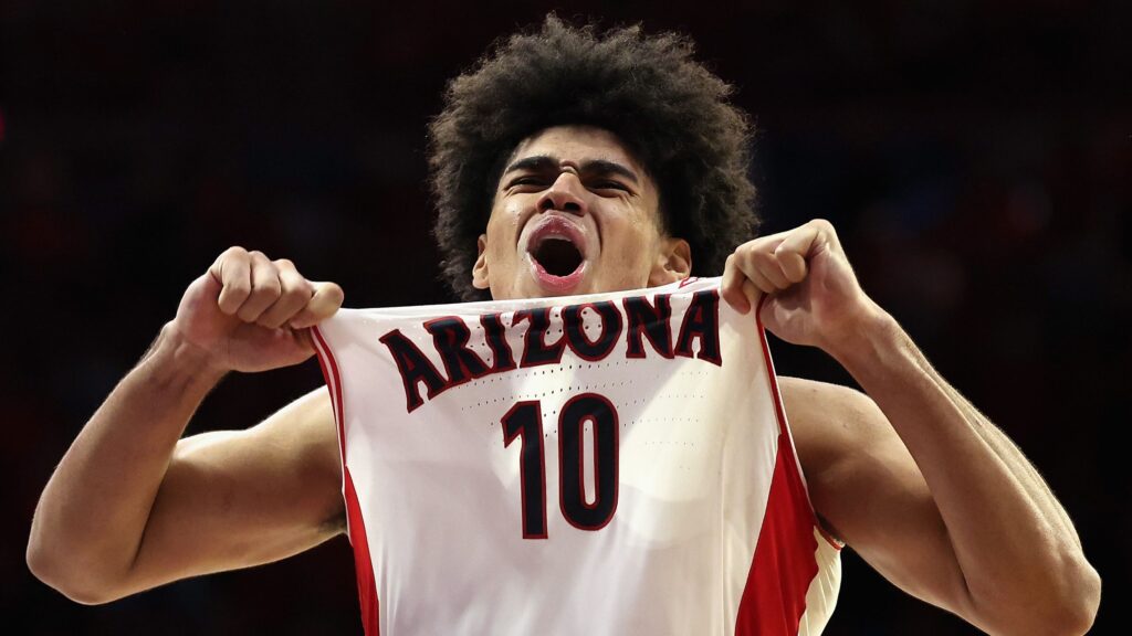I’m going to watch Michigan vs Arizona at no-cost — here’s how you can stream for FREE too I'm going to watch Michigan vs Arizona at no-cost — here's how you can stream for FREE too