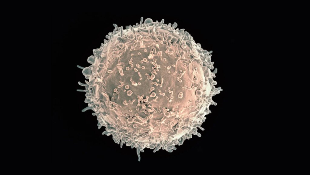 One Shot Just Crushed Three Deadly Autoimmune Diseases
