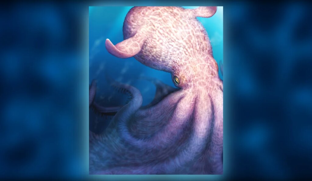 ‘Kraken’ fossils show enormous, intelligent octopuses were top predators in Cretaceous seas ‘Kraken’ fossils show enormous, intelligent octopuses were top predators in Cretaceous seas