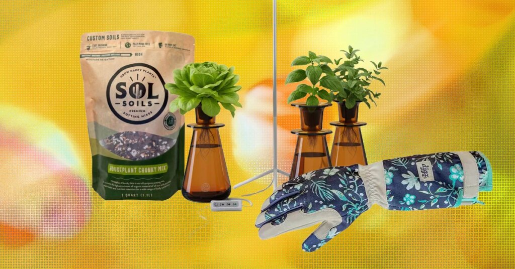 15 Best Gifts for Plant Lovers and Gardeners (2026)