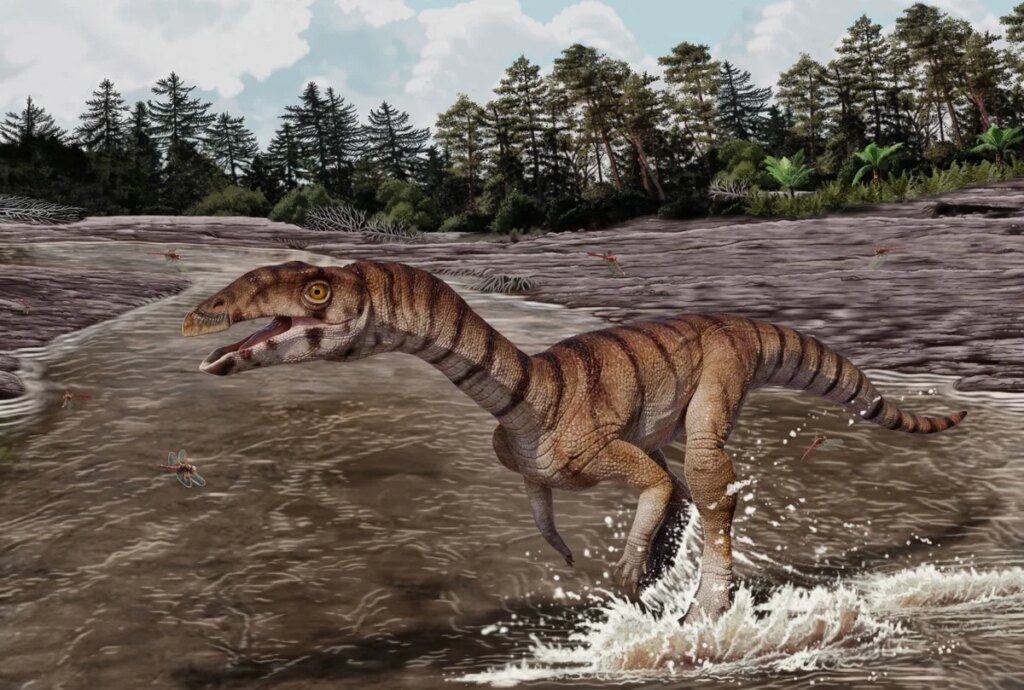 A toothless, beaked, bipedal crocodile cousin roamed Earth 200 million years ago A toothless, beaked, bipedal crocodile cousin roamed Earth 200 million years ago