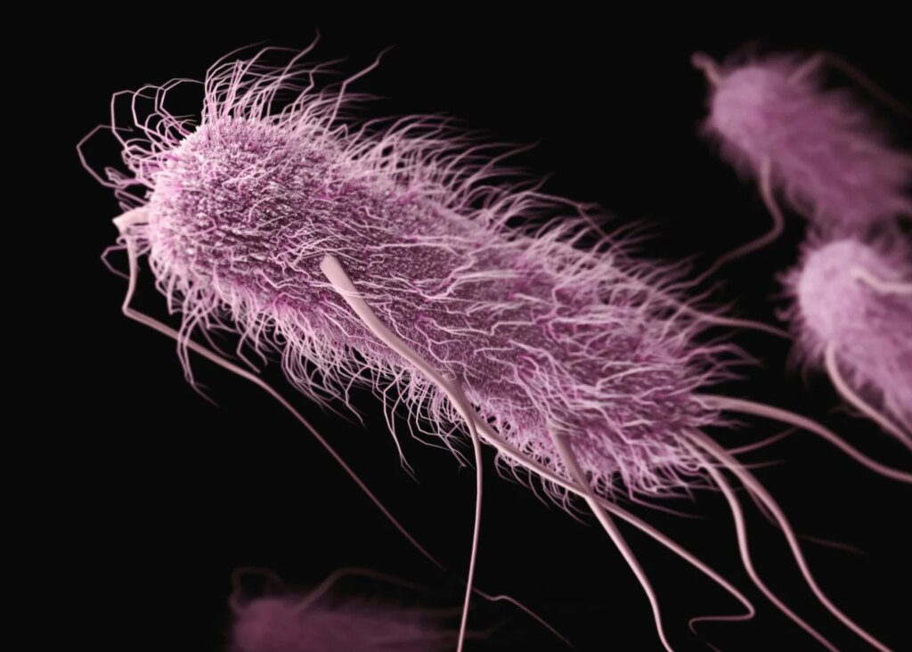 All Life Uses 20 Amino Acids. Scientists Just Deleted One in Bacteria. All Life Uses 20 Amino Acids. Scientists Just Deleted One in Bacteria.