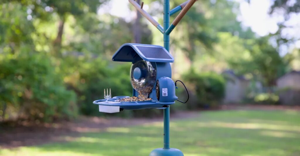 Coolfly’s Aura smart bird feeder review: More birds are better Coolfly’s Aura smart bird feeder review: More birds are better