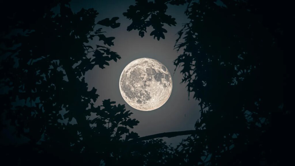 When To See A Rare ‘Blue Moon’ Rise At Dusk This Weekend When To See A Rare ‘Blue Moon’ Rise At Dusk This Weekend