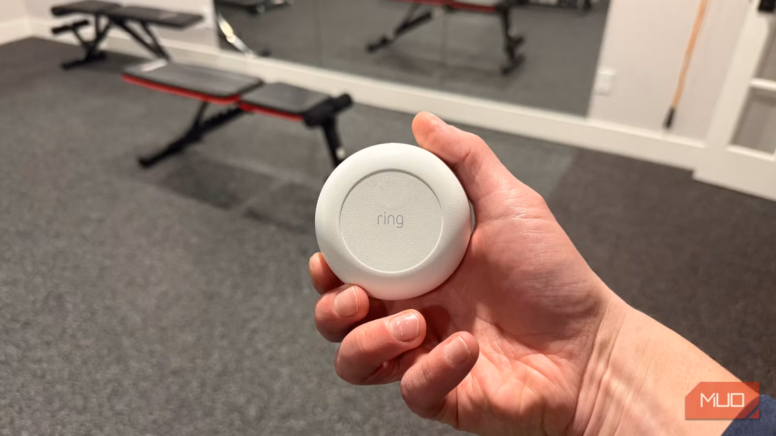 A $30 gadget woke me at 2am and saved my basement A $30 gadget woke me at 2am and saved my basement