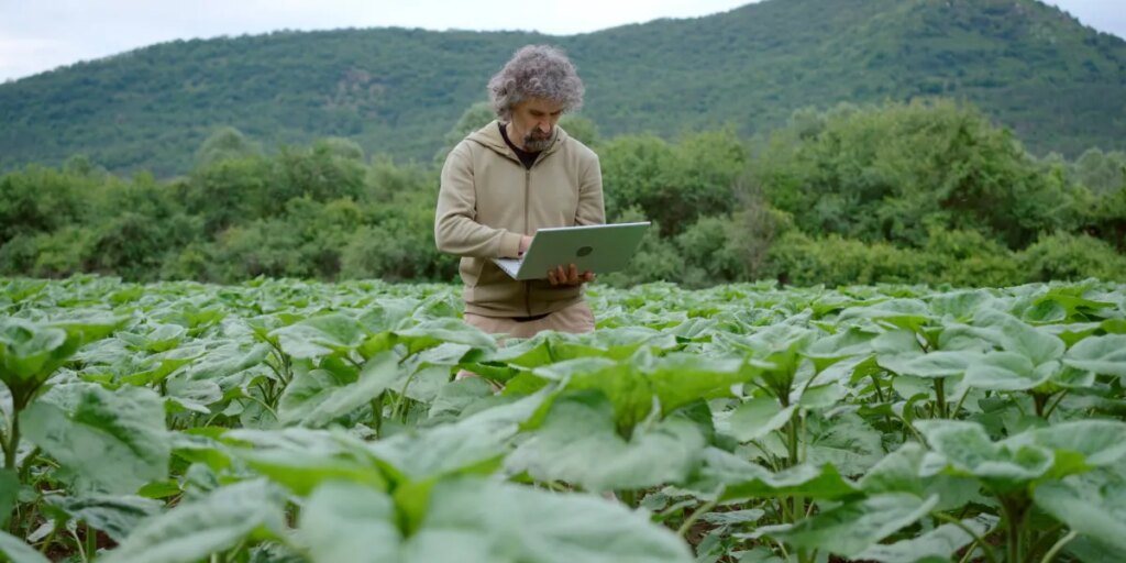 Agriculture is ready for AI, but its data isn’t Agriculture is ready for AI, but its data isn’t