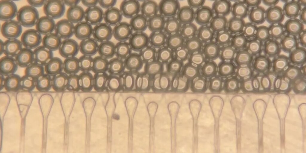 Engineered “mini livers” could be injected as an alternative to transplantation
