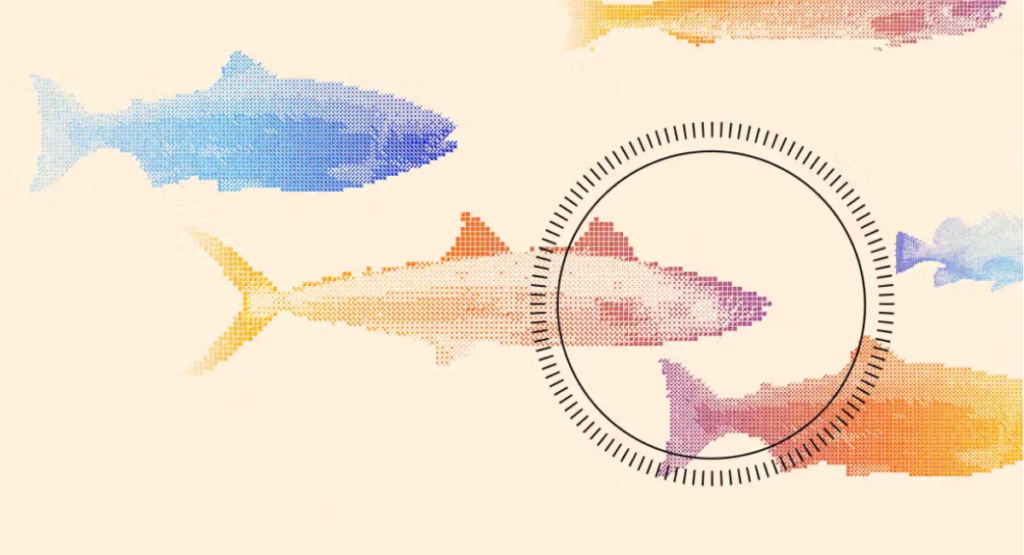 Founders Fund’s outlier bet on humanely killed fish Founders Fund's outlier bet on humanely killed fish