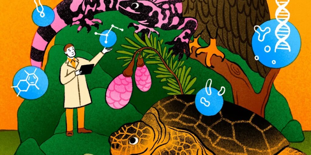 Job titles of the future: Nature's drug designer