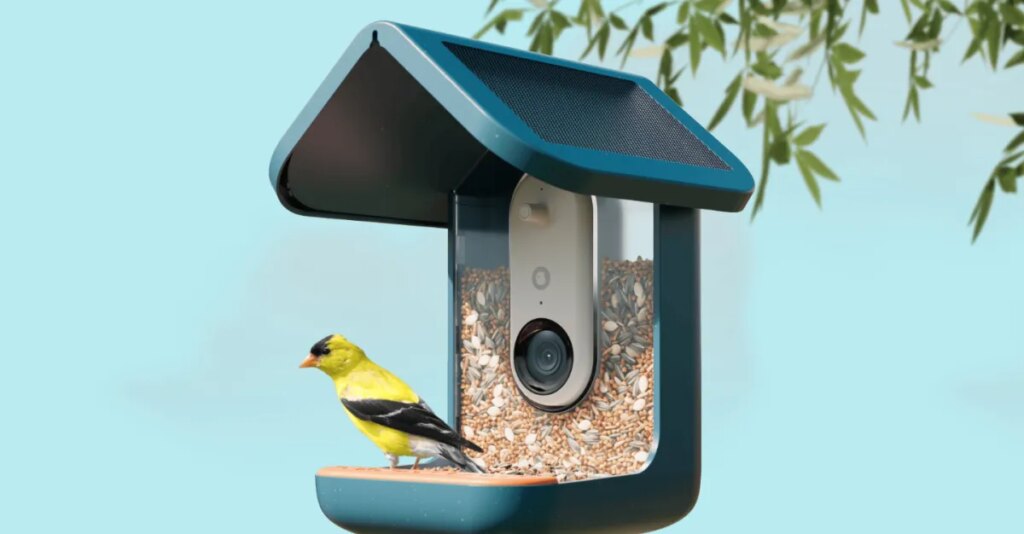 This video bird feeder is the surprise hit of Prime Day This video bird feeder is the surprise hit of Prime Day