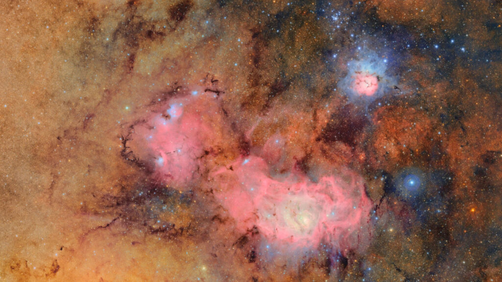 A 10-Year Sky Survey Begins Filming A ‘Cosmic Movie,’ Cyborg Cockroaches Go For A Dive And More Science Stories A 10-Year Sky Survey Begins Filming A 'Cosmic Movie,' Cyborg Cockroaches Go For A Dive And More Science Stories