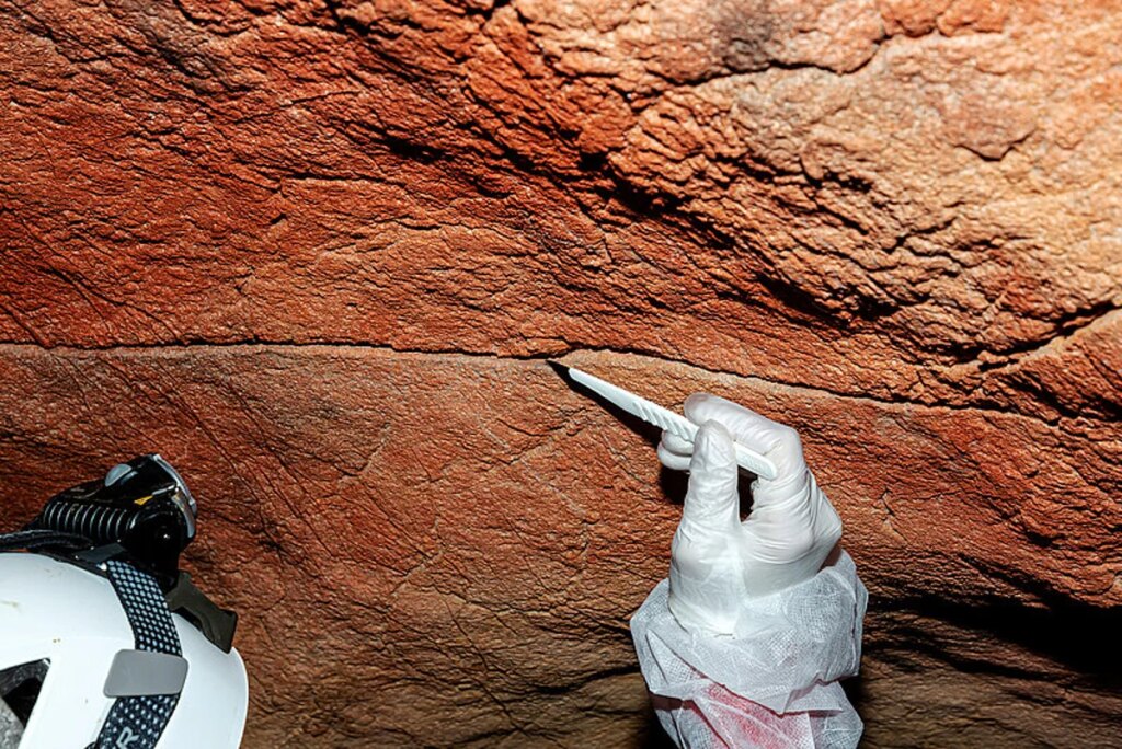 Ancient cave paintings can harbor human DNA for millennia, scientists find Ancient cave paintings can harbor human DNA for millennia, scientists find