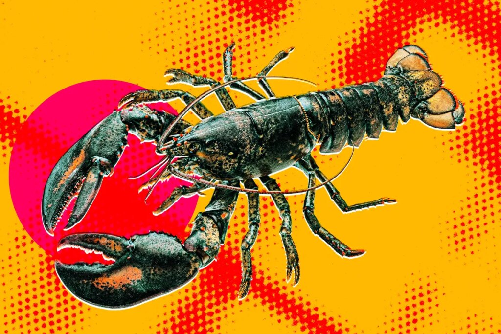 Biohackers Attempted Neurosurgery to Control a Lobster’s Nervous System and Give the Controls to OpenClaw, and How It Ended Will Tell You a Lot About the Ethics and Competence of AI Bros These Days Biohackers Attempted Neurosurgery to Control a Lobster’s Nervous System and Give the Controls to OpenClaw, and How It Ended Will Tell You a Lot About the Ethics and Competence of AI Bros These Days
