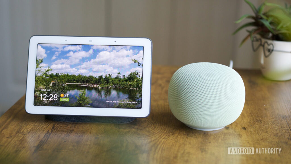 Google Nest Hub and Google Home Speaker sitting next to each other.
