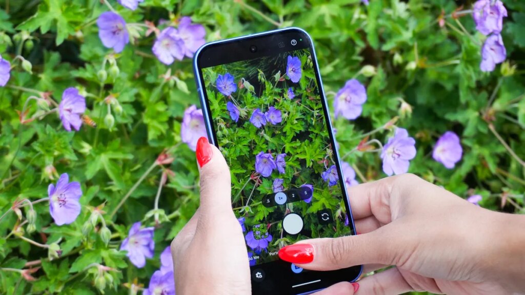 Own a Pixel? You can add device protection now for $5/month - but should you?