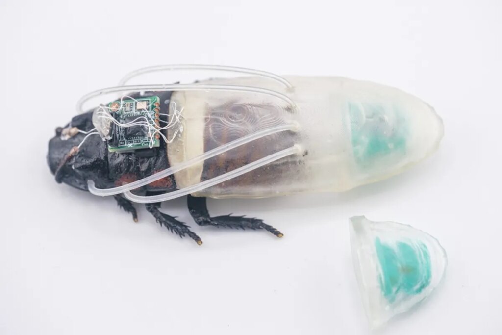 Swarm of Cyborg Remote Controlled Cockroaches Gains New Power Swarm of Cyborg Remote Controlled Cockroaches Gains New Power