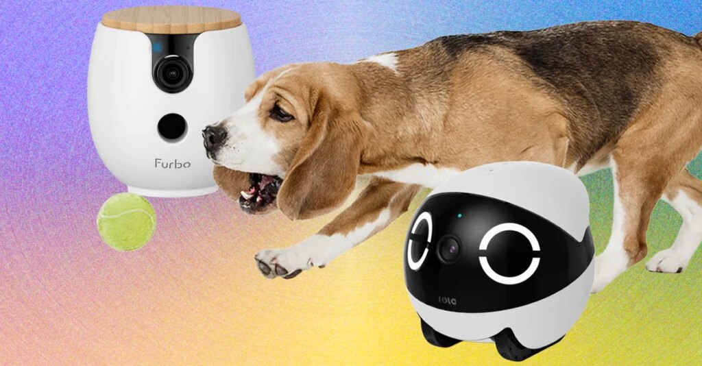 The 10 Best Pet Cameras of 2026: Furbo, Petcube, and Enabot The 10 Best Pet Cameras of 2026: Furbo, Petcube, and Enabot
