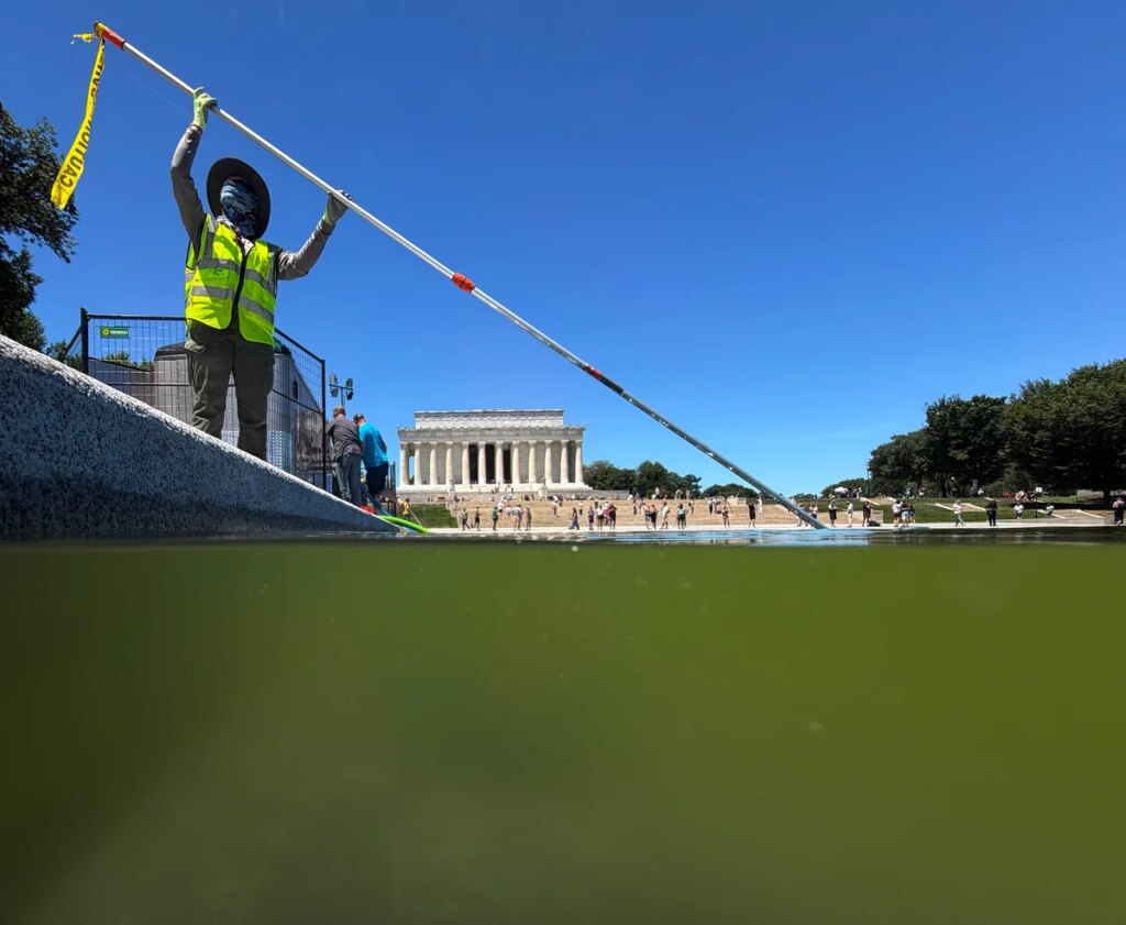 The Lincoln Memorial Reflecting Pool’s algae problem has better solutions than hydrogen peroxide, experts say The Lincoln Memorial Reflecting Pool’s algae problem has better solutions than hydrogen peroxide, experts say