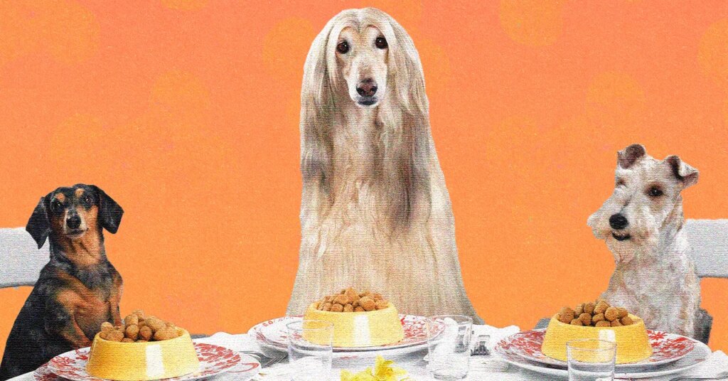 We Make Lovely Home-Cooked Meals for Ourselves. Why Not Do the Same for Our Dogs? We Make Lovely Home-Cooked Meals for Ourselves. Why Not Do the Same for Our Dogs?