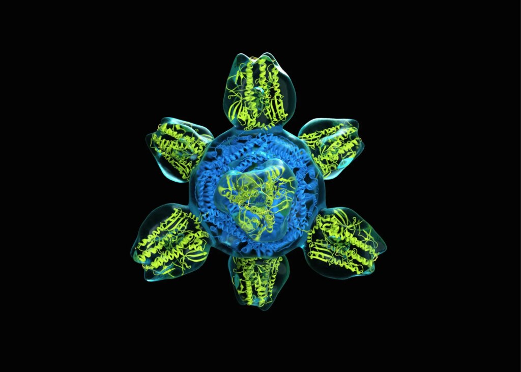 Biology Needs an AI Declaration Biology Needs an AI Declaration