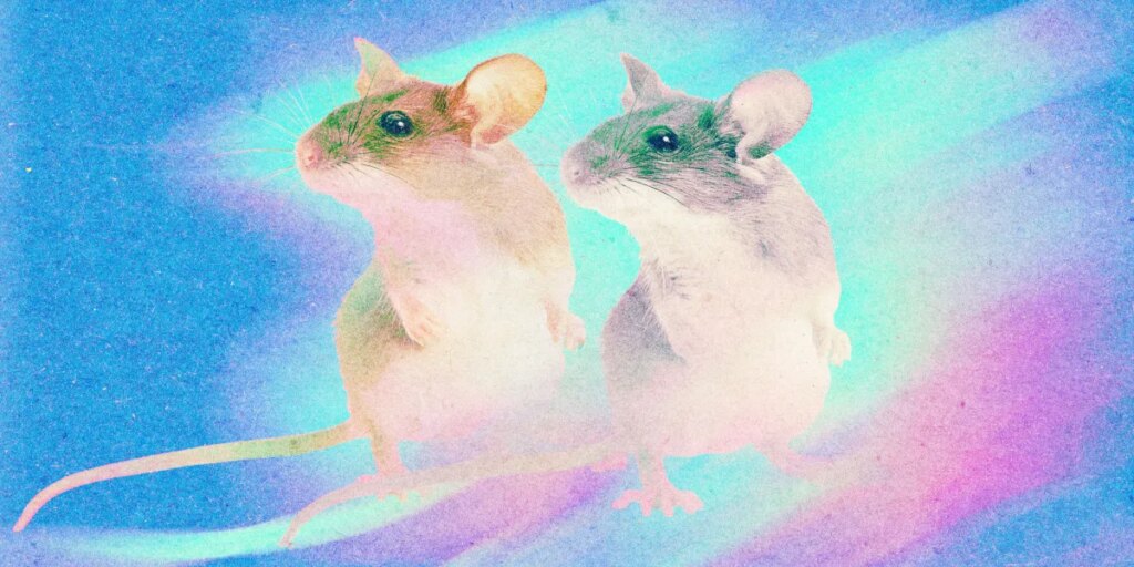 Cloning could be used to save species—or make human “organ sacks” Cloning could be used to save species—or make human “organ sacks”
