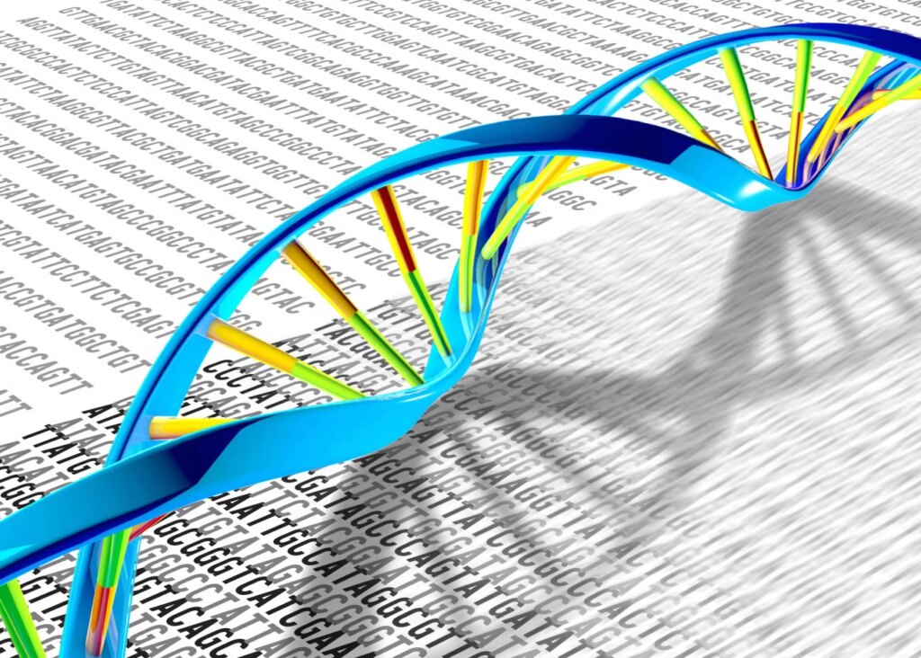 CRISPR Prime Editing Rewrites DNA in the Human Body for the First Time CRISPR Prime Editing Rewrites DNA in the Human Body for the First Time