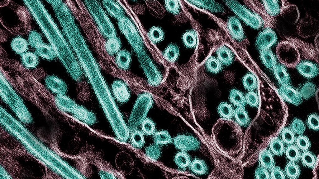 Claude helped a scientist plan potentially risky bird flu research Claude helped a scientist plan potentially risky bird flu research