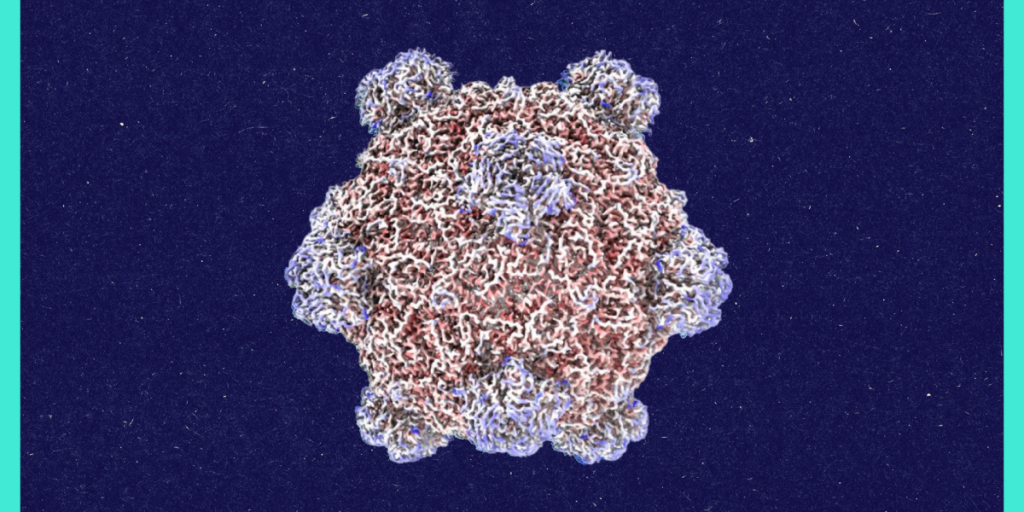 Roundtables: A Conversation With the Creator of AI-Designed Viruses Roundtables: A Conversation With the Creator of AI-Designed Viruses