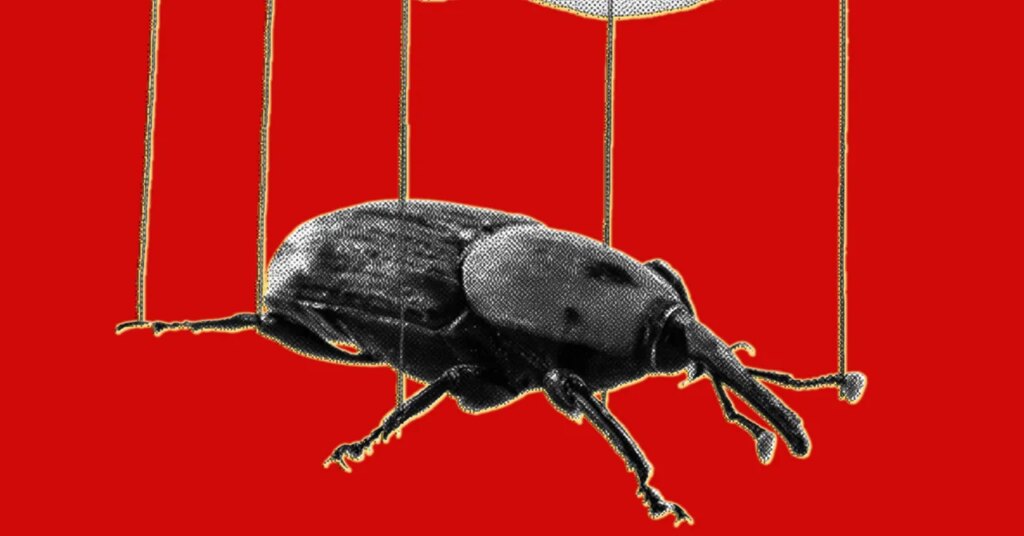 The PHP Meltdown Shows How AI Makes Bugs More Exploitable The PHP Meltdown Shows How AI Makes Bugs More Exploitable