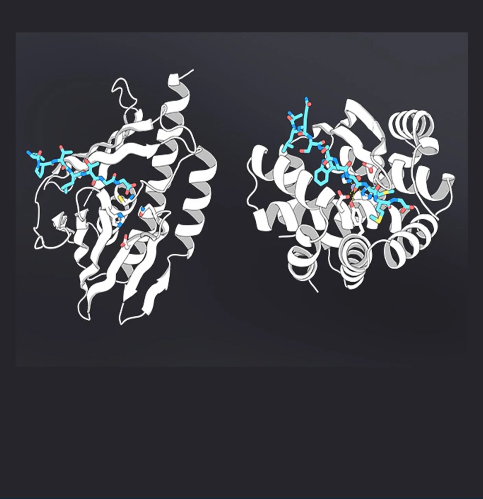 This AI Model Designs Enzymes With Atomic Precision