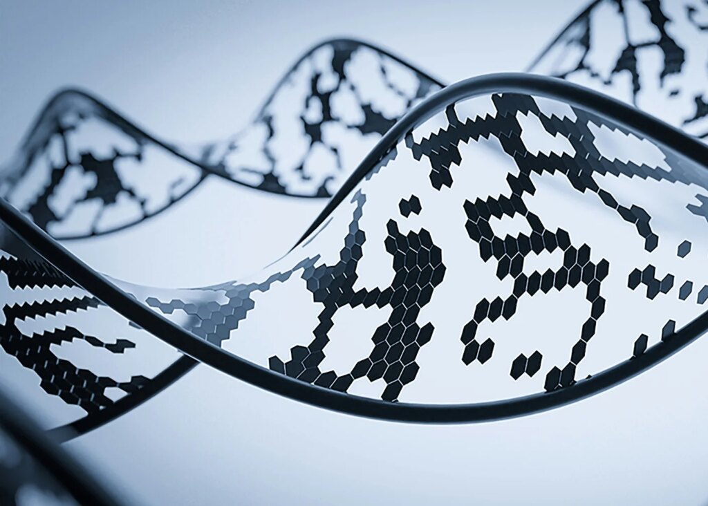 We’ve Always Copied Nature. Now We Can Search It.